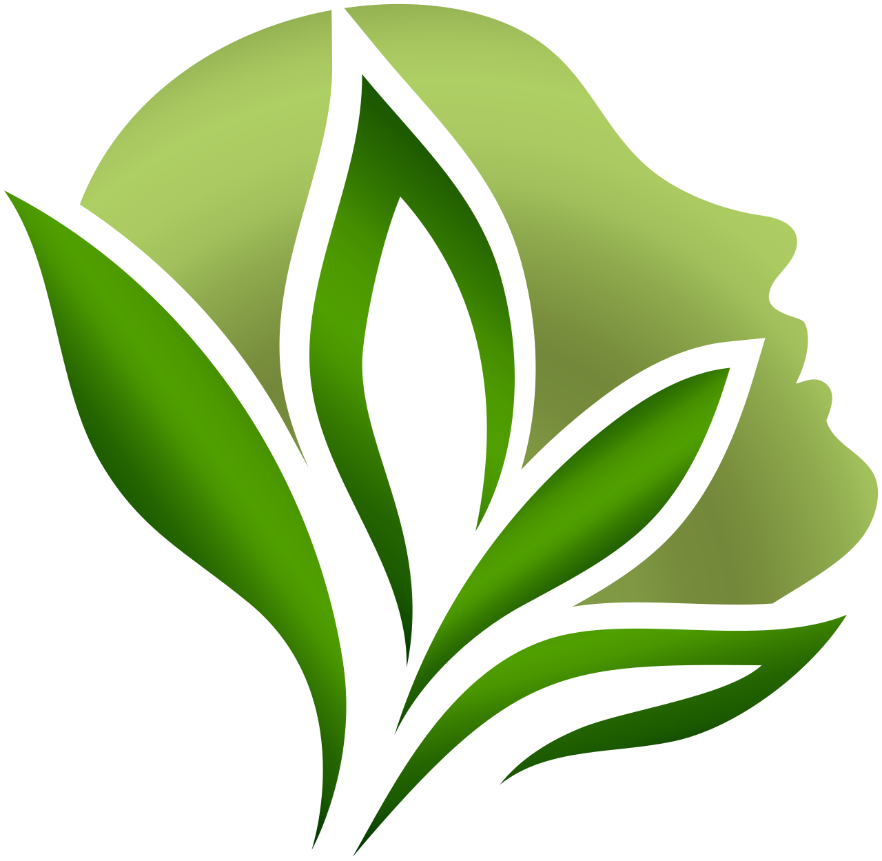 Reveal It Aesthetics and Wellness